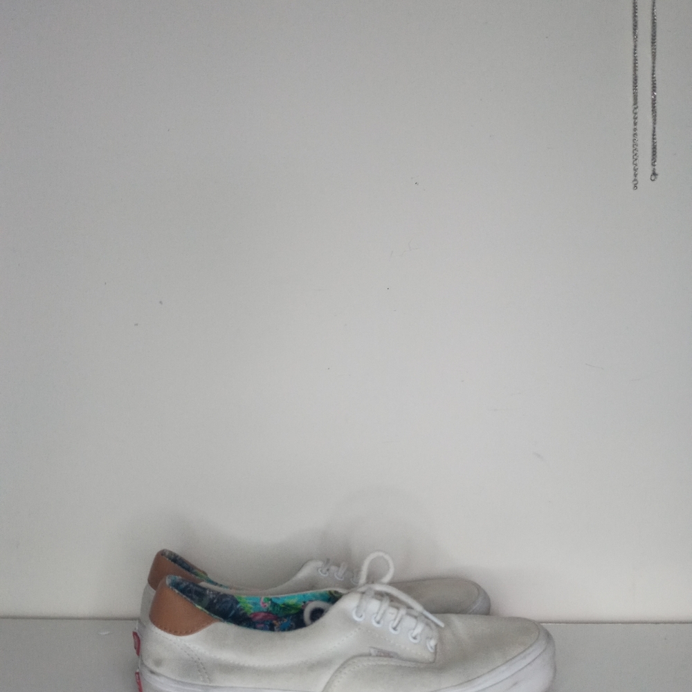 Mens casual Vans
